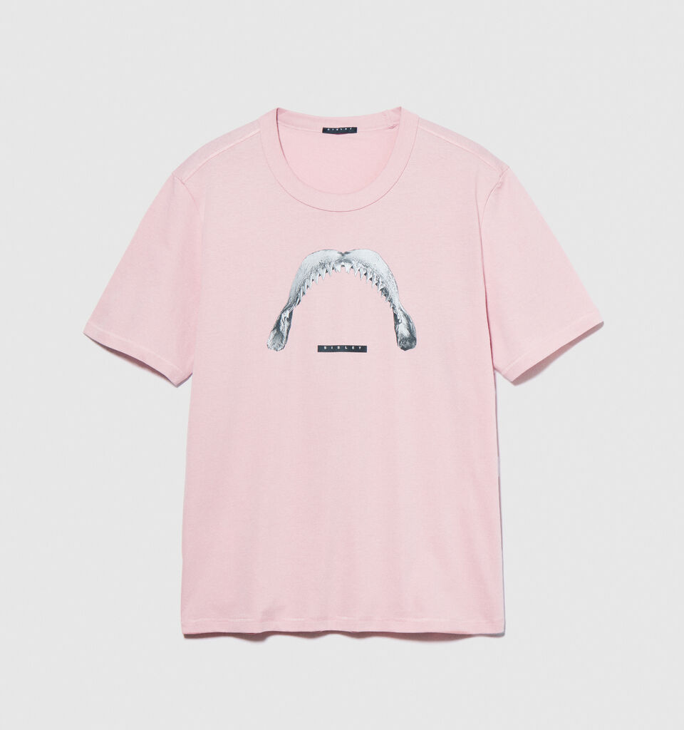 Relaxed fit t-shirt with print - men's short sleeve t-shirts - Pastel Pink | Sisley image number 6
